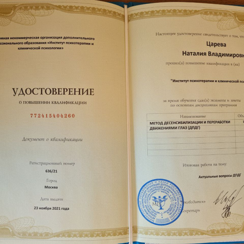 ДПДГ повышение квалификации Царева НВ